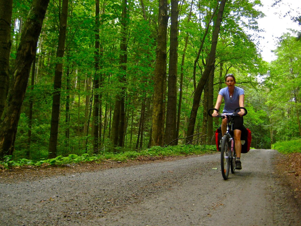 Woman cycling on a gravel path through a green forest with red pannier bags on her bike